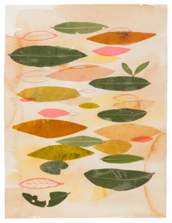 Bay Trees Dream, Too