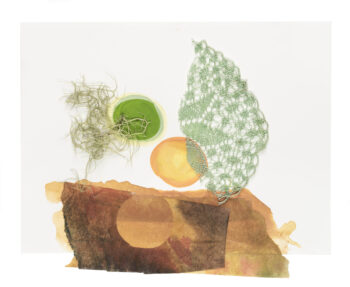 Lace Meets Lichen in the Field of Play