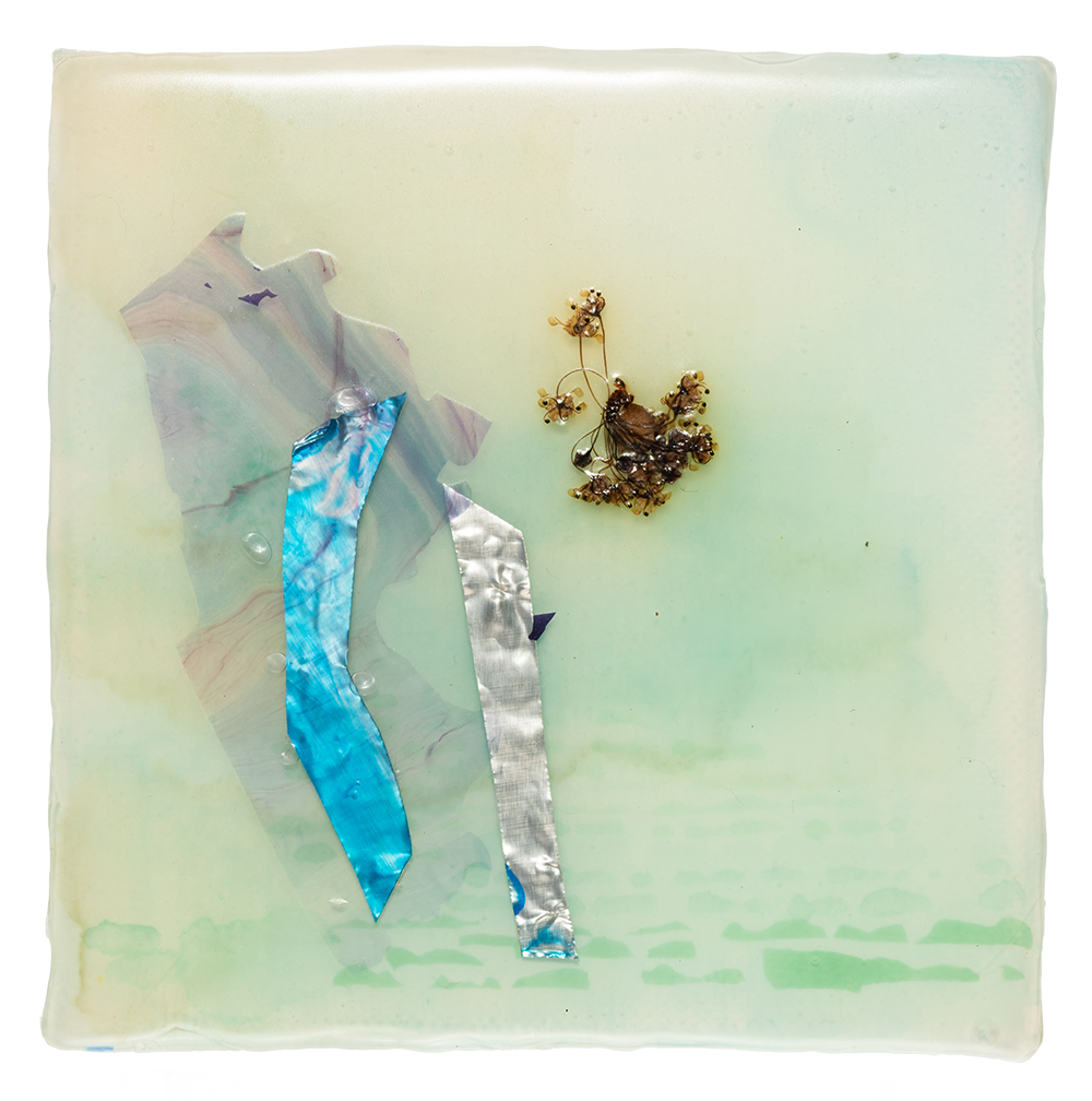 Talking to Ceonothus